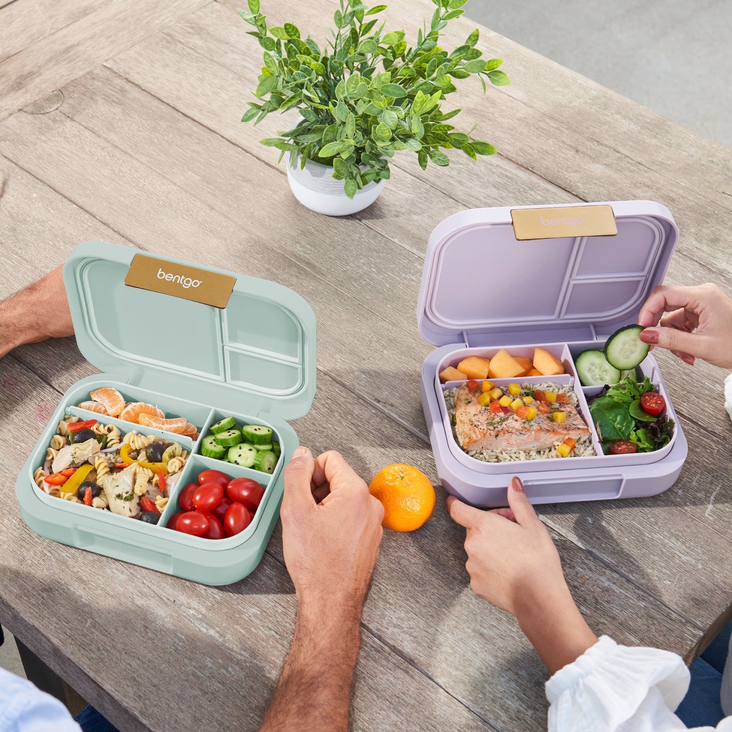 bentgo-modern-lunch-box-2-pack-g4 COSTCOBMCPRODUCTIMAGE_2.jpg